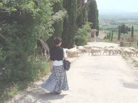 サンダミアーノ教会に行く途中に羊に会えた