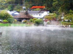 霧の金鱗湖