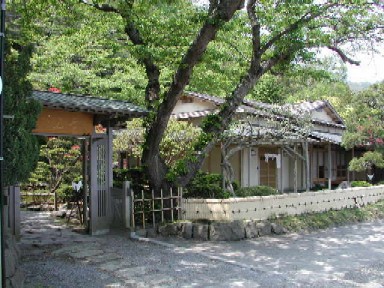 遊季正面