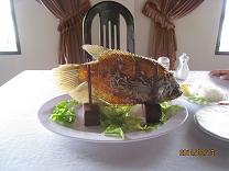 Vn42 ベトナム ミトーの名物料理 エレファント フィッシュ 札幌からの もいわ便り